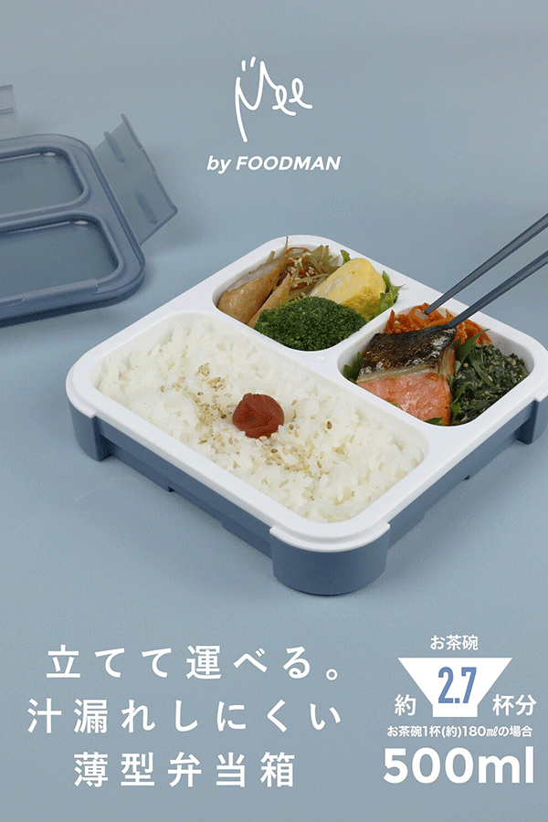 Bento Lunch Box